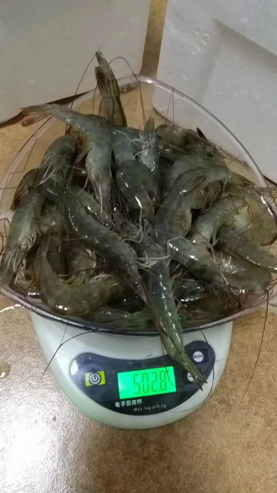 超级社区开始发力，一天团购1200斤活虾！